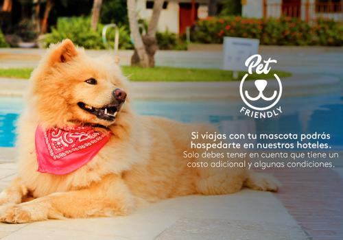 Admite mascotas Hotel ESTELAR Playa Manzanillo Cartagena de Indias
