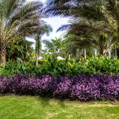 Jardín ESTELAR Playa Manzanillo Colombia - Cartagena Jardín ESTELAR Playa Manzanillo Colombia - Cartagena